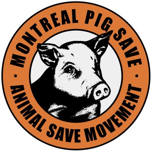 Montreal Pig Save - Animal Save Movement